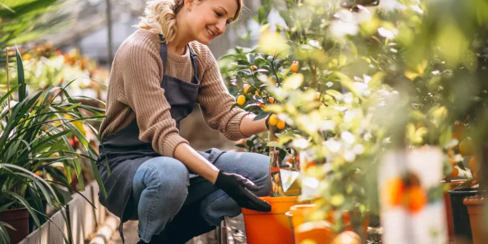 3 trendy w meblach biurowych 2026: ergonomia, modułowość i zrównoważone materiały — jak dobrać biurko, krzesło i szafy do potrzeb zespołu?